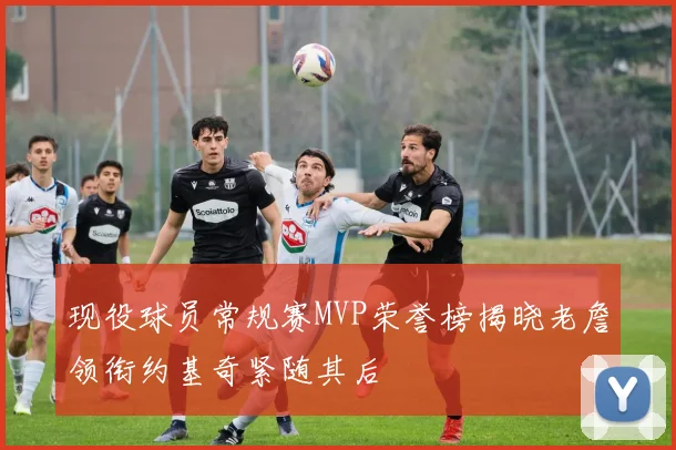 现役球员常规赛MVP荣誉榜揭晓老詹领衔约基奇紧随其后